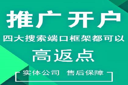 百度竞价：从入门到精通，快速实现盈利的案例集